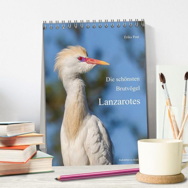 Produktbild: Die sch&ouml;nsten Brutv&ouml;gel Lanzarotes (Tischkalender 2027 DIN A5 hoch), CALVENDO Monatskalender