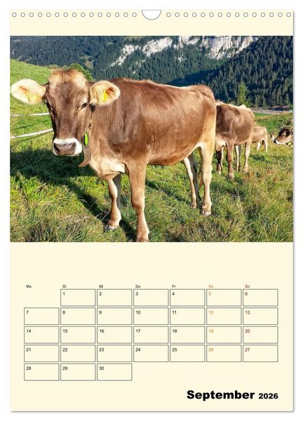Produktbild: Gl&uuml;ckliche Bergk&uuml;he (Wandkalender 2026 DIN A3 hoch), CALVENDO Monatskalender