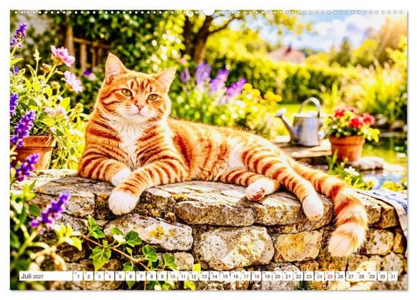 Produktbild: Rote Katzen (hochwertiger Premium Wandkalender 2027 DIN A2 quer), Kunstdruck in Hochglanz
