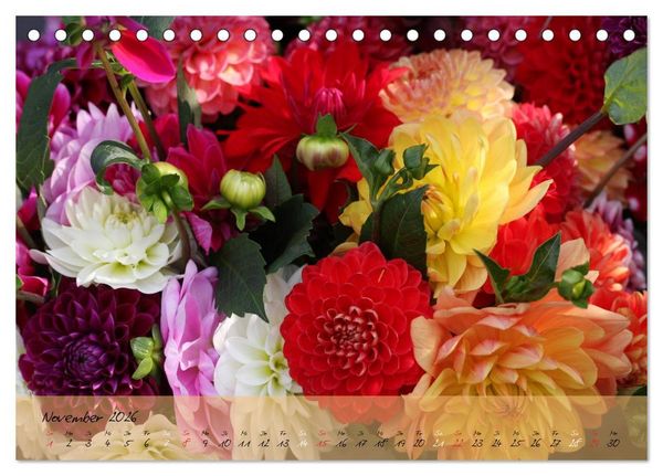 Produktbild: Bl&uuml;ten dicht an dicht (Tischkalender 2026 DIN A5 quer), CALVENDO Monatskalender