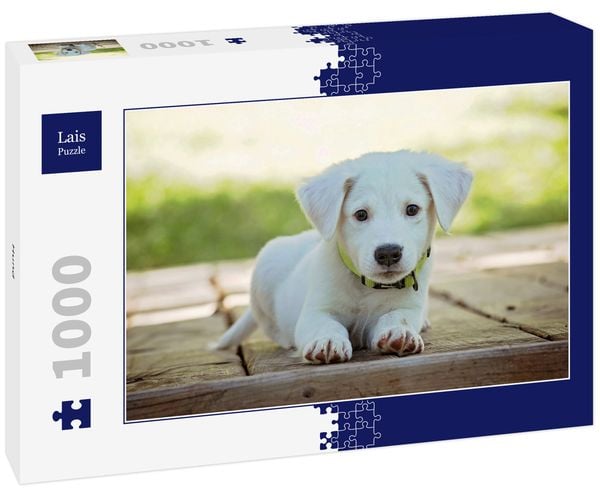 Produktbild: Lais Puzzle Hund 1000 Teile