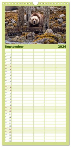 Produktbild: Familienplaner 2026 - Grizzlys und Geisterb&auml;ren - Glendale Cove, Kanada mit 5 Spalten (Wandkalender, 21 x 45 cm) CALVENDO