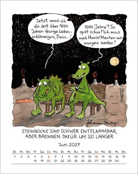 Produktbild: Steinbock 2027