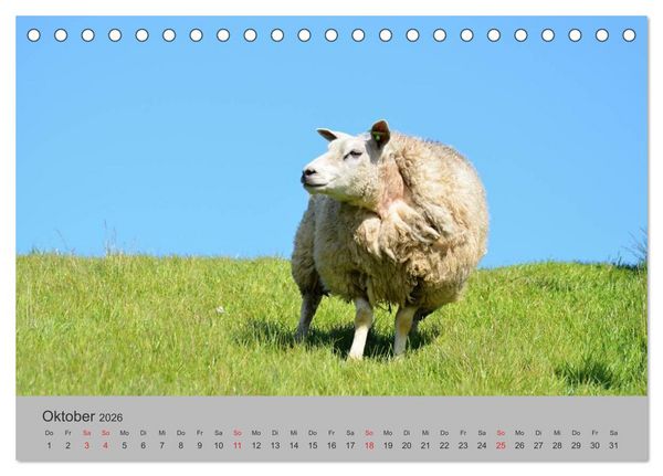 Produktbild: Impressionen von Texel (Tischkalender 2026 DIN A5 quer), CALVENDO Monatskalender