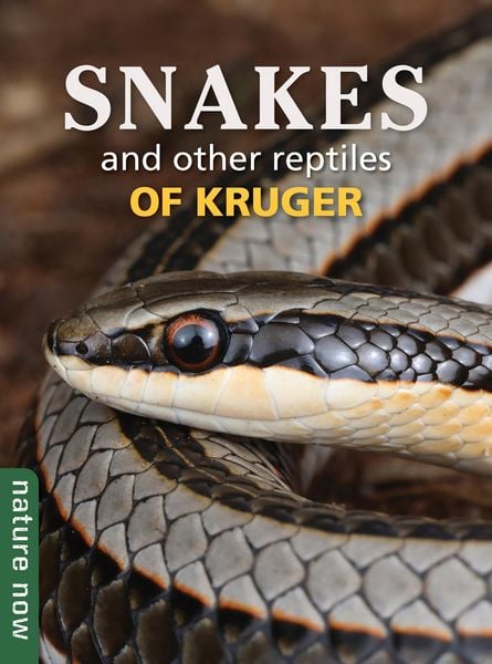 Produktbild: Snakes and other reptiles of Kruger