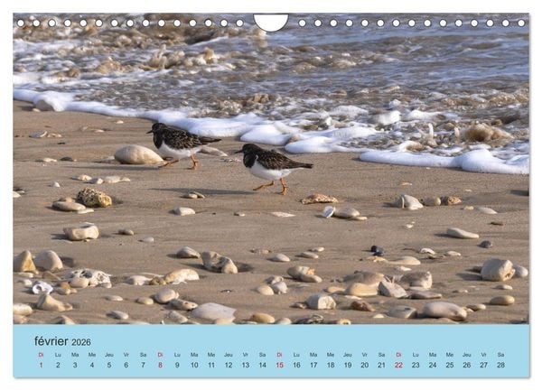 Produktbild: La Charente Maritime, des paysages entre terre et mer (Calendrier mural 2026 DIN A4 vertical), CALVENDO calendrier mensuel