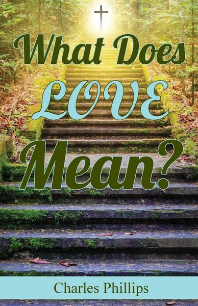 Produktbild: What Does Love Mean?