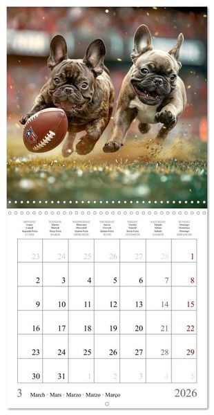 Produktbild: French Bulldogs (Wall Calendar 2026 12 &times; 12 Inch) CALVENDO 12 Month Wall Calendar
