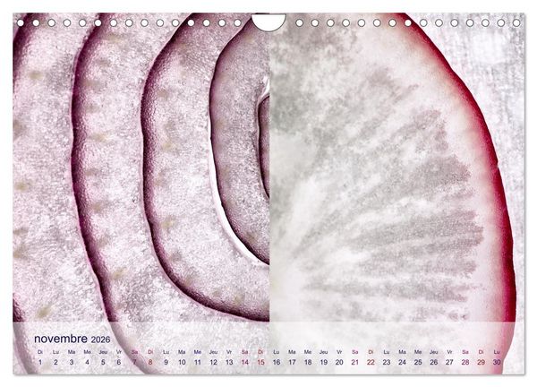 Produktbild: C&oelig;ur de fruits c&oelig;ur de l&eacute;gumes (Calendrier mural 2026 DIN A4 vertical), CALVENDO calendrier mensuel