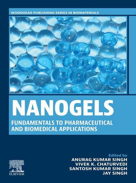 Produktbild: Nanogels: Fundamentals to Pharmaceutical and Biomedical Applications