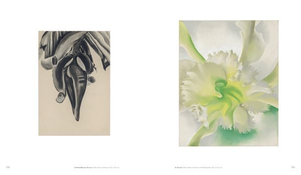 Produktbild: Georgia O'Keeffe