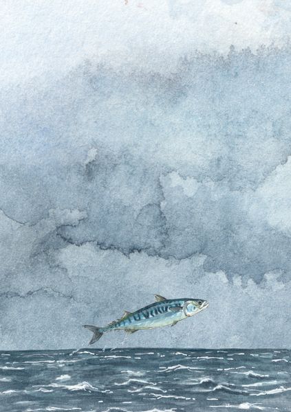 Produktbild: Jakobsons Nordsee