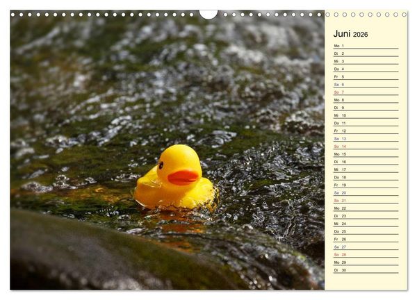 Produktbild: Enten-Rennen (Wandkalender 2026 DIN A3 quer), CALVENDO Monatskalender