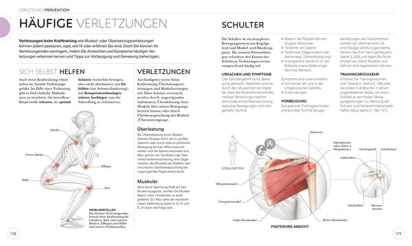 Krafttraining – Die Anatomie verstehen