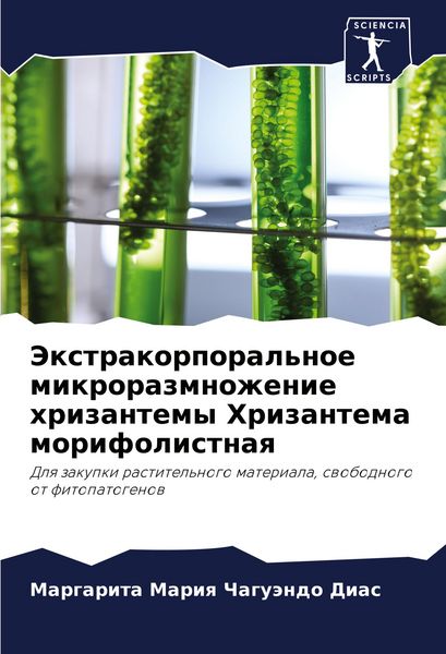 Produktbild: Jextrakorporal'noe mikrorazmnozhenie hrizantemy Hrizantema morifolistnaq