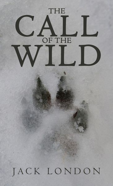 Produktbild: The Call of the Wild