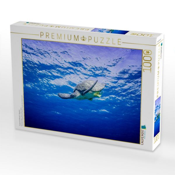 Produktbild: CALVENDO Puzzle Suppenschildkr&ouml;te in &Auml;gypten | 1000 Teile Lege-Gr&ouml;&szlig;e 64x48cm Foto-Puzzle f&uuml;r gl&uuml;ckliche Stunden