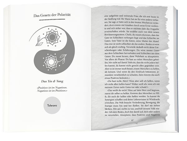 Produktbild: Higher Mind. Die Gesetze des Bewusstseins