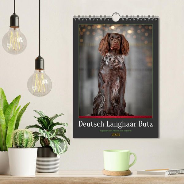 Produktbild: Deutsch Langhaar Butz - Jagdhund mit Passion und Herzblut (Wandkalender 2026 DIN A4 hoch), CALVENDO Monatskalender