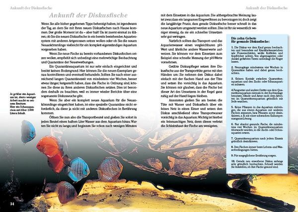Diskusfische