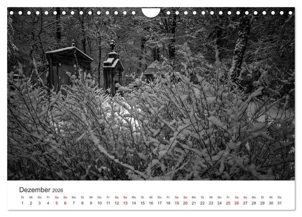 Produktbild: Wachgek&uuml;sst - Vom Zauber der Vergangenheit - S&uuml;dwestkirchhof Stahnsdorf (Wandkalender 2026 DIN A4 quer), CALVENDO Monatskalender