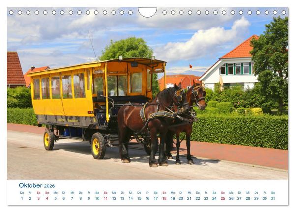 Produktbild: Langeoog 2026. Impressionen zwischen Hafen und Ostende (Wandkalender 2026 DIN A4 quer), CALVENDO Monatskalender