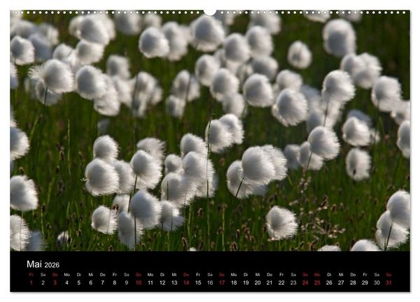 Produktbild: Sibirien- Impressionen von der Lena (hochwertiger Premium Wandkalender 2026 DIN A2 quer), Kunstdruck in Hochglanz