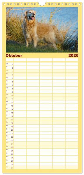 Produktbild: Familienplaner 2026 - Golden Retriever Power mit 5 Spalten (Wandkalender, 21 x 45 cm) CALVENDO