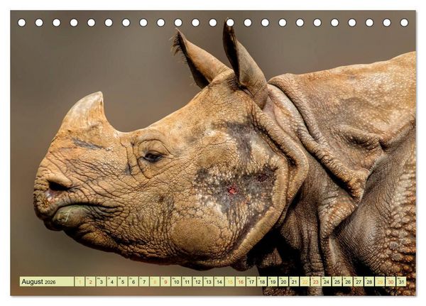 Produktbild: Bedrohte Tierart - Nashorn (Tischkalender 2026 DIN A5 quer), CALVENDO Monatskalender