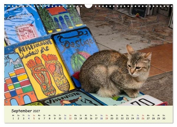 Produktbild: MarokkoCats (Wandkalender 2027 DIN A3 quer), CALVENDO Monatskalender
