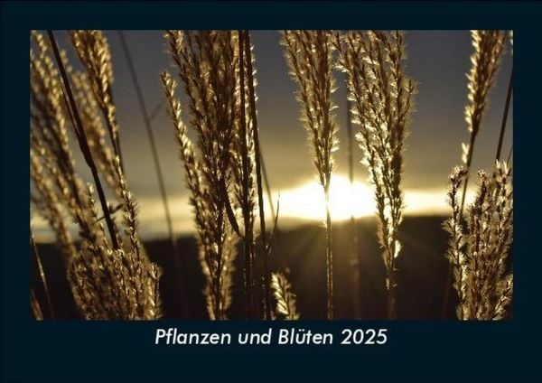 Produktbild: Pflanzen und Bl&uuml;ten 2025 Fotokalender DIN A5