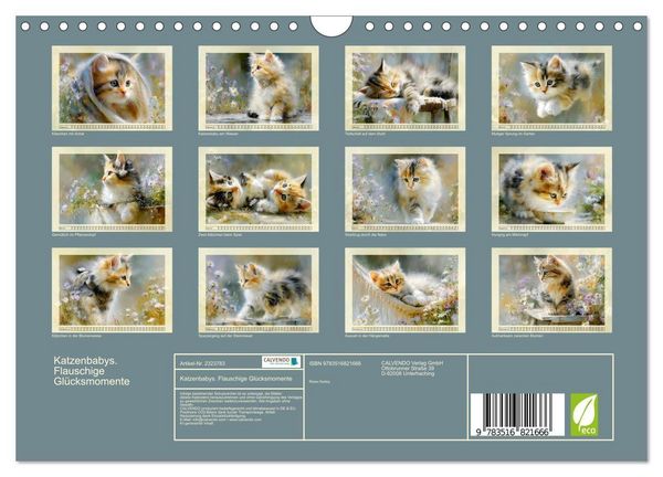Produktbild: Katzenbabys. Flauschige Gl&uuml;cksmomente (Wandkalender 2027 DIN A4 quer), CALVENDO Monatskalender