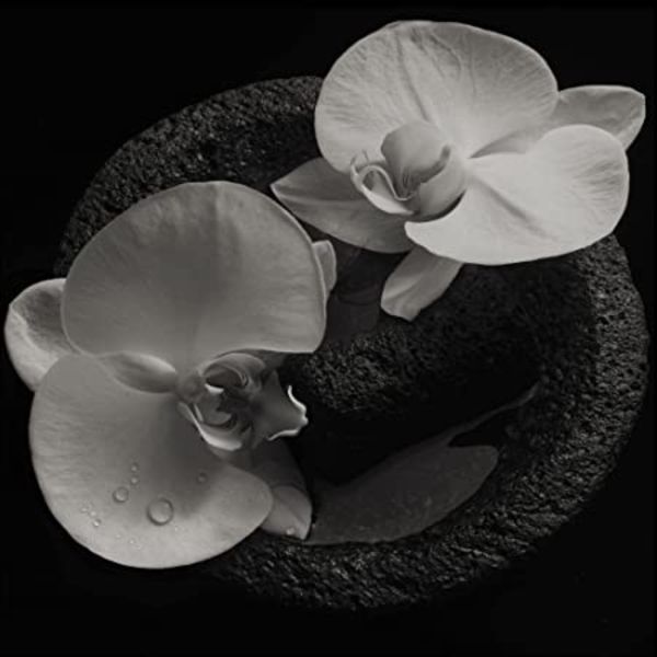Corpse Flower (Ltd.Ed.) (LP+MP3,Coloured)