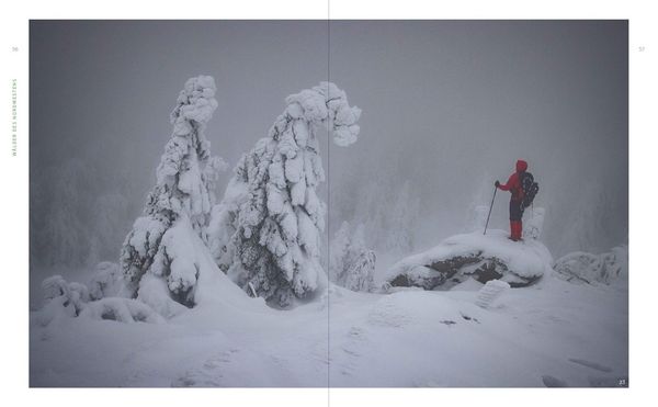 Produktbild: Wild Guide Deutsche W&auml;lder