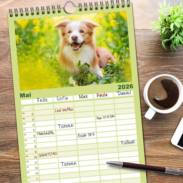 Produktbild: Familienplaner 2026 - Border Collies 2026 mit 5 Spalten (Wandkalender, 21 x 45 cm) CALVENDO