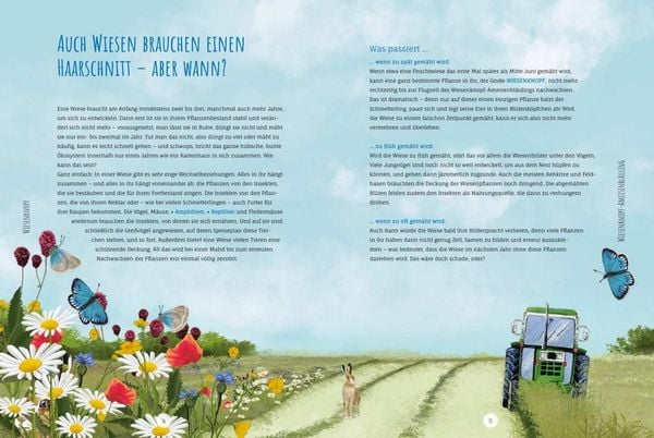 Produktbild: Die Wildwiese