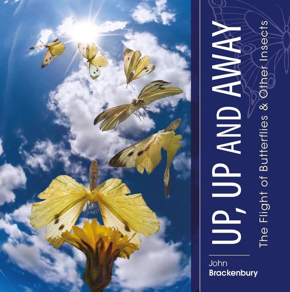 Produktbild: Up, Up and Away