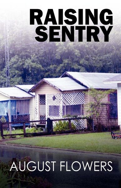 Produktbild: Raising Sentry