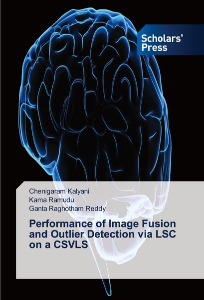 Produktbild: Performance of Image Fusion and Outlier Detection via LSC on a CSVLS