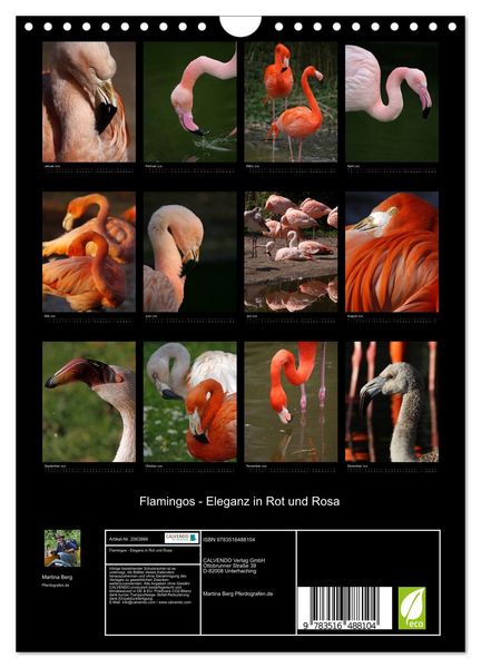 Produktbild: Flamingos - Eleganz in Rot und Rosa (Wandkalender 2026 DIN A4 hoch), CALVENDO Monatskalender