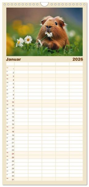 Produktbild: Familienplaner 2026 - Wuschelbande - Ein Jahr voller Meerschweinchen mit 5 Spalten (Wandkalender, 21 x 45 cm) CALVENDO