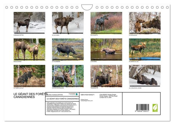 Produktbild: LE G&Eacute;ANT DES FOR&Ecirc;TS CANADIENNES (Calendrier mural 2026 DIN A4 vertical), CALVENDO calendrier mensuel