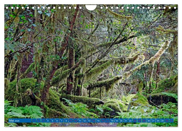 Produktbild: Von Vancouver nach Alaska (Wandkalender 2026 DIN A4 quer), CALVENDO Monatskalender
