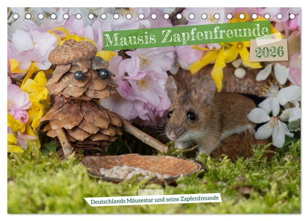 Mausis Zapfenfreunde (Tischkalender 2026 DIN A5 quer), CALVENDO Monatskalender