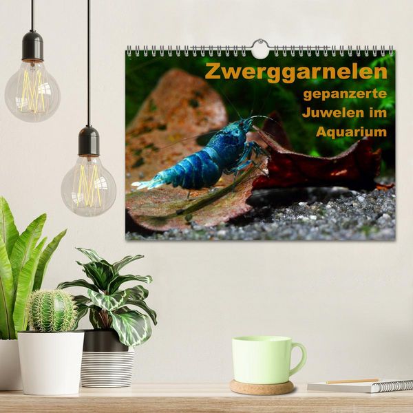 Produktbild: Zwerggarnelen - gepanzerte Juwelen im Aquarium (Wandkalender 2026 DIN A4 quer), CALVENDO Monatskalender