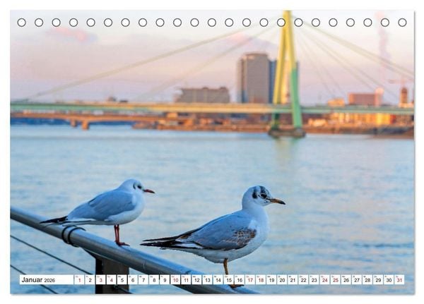 Produktbild: K&ouml;ln - Facetten einer Stadt (Tischkalender 2026 DIN A5 quer), CALVENDO Monatskalender