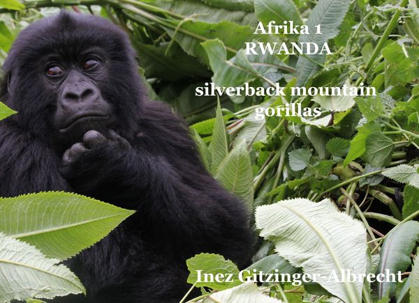 Produktbild: Afrika 1 Ruanda