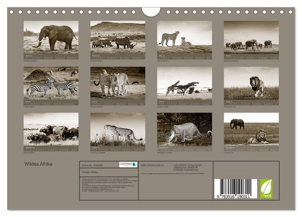 Produktbild: Wildes Afrika (Wandkalender 2026 DIN A4 quer), CALVENDO Monatskalender