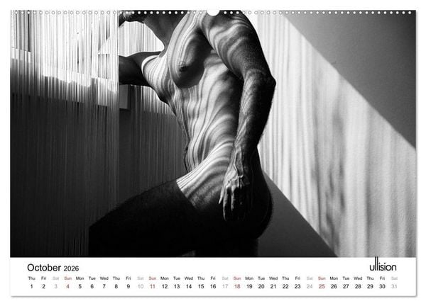Produktbild: Male Nude Art (High Quality Premium Wall Calendar 2026 DIN A2 landscape),CALVENDO 12 Month Wall Calendar