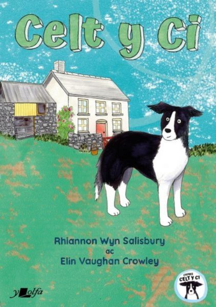Produktbild: Salisbury, R: Celt y Ci